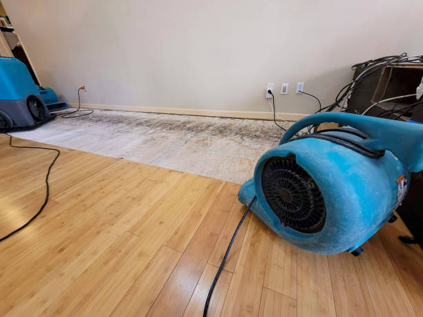 Professional Basement Flood Cleanup technician working in Silt, CO